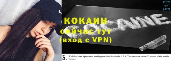 mix Анива
