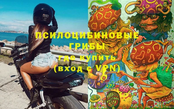 ГАЛЛЮЦИНОГЕННЫЕ ГРИБЫ Навашино
