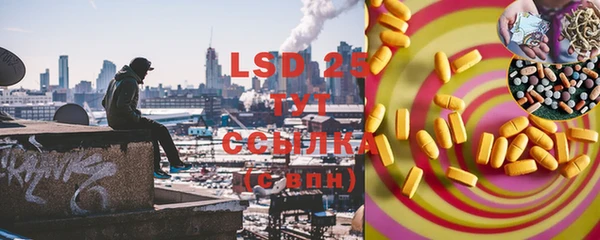 ГАЛЛЮЦИНОГЕННЫЕ ГРИБЫ Навашино
