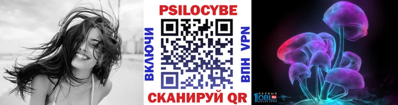 Псилоцибиновые грибы мухоморы  где найти наркотики  Николаевск 